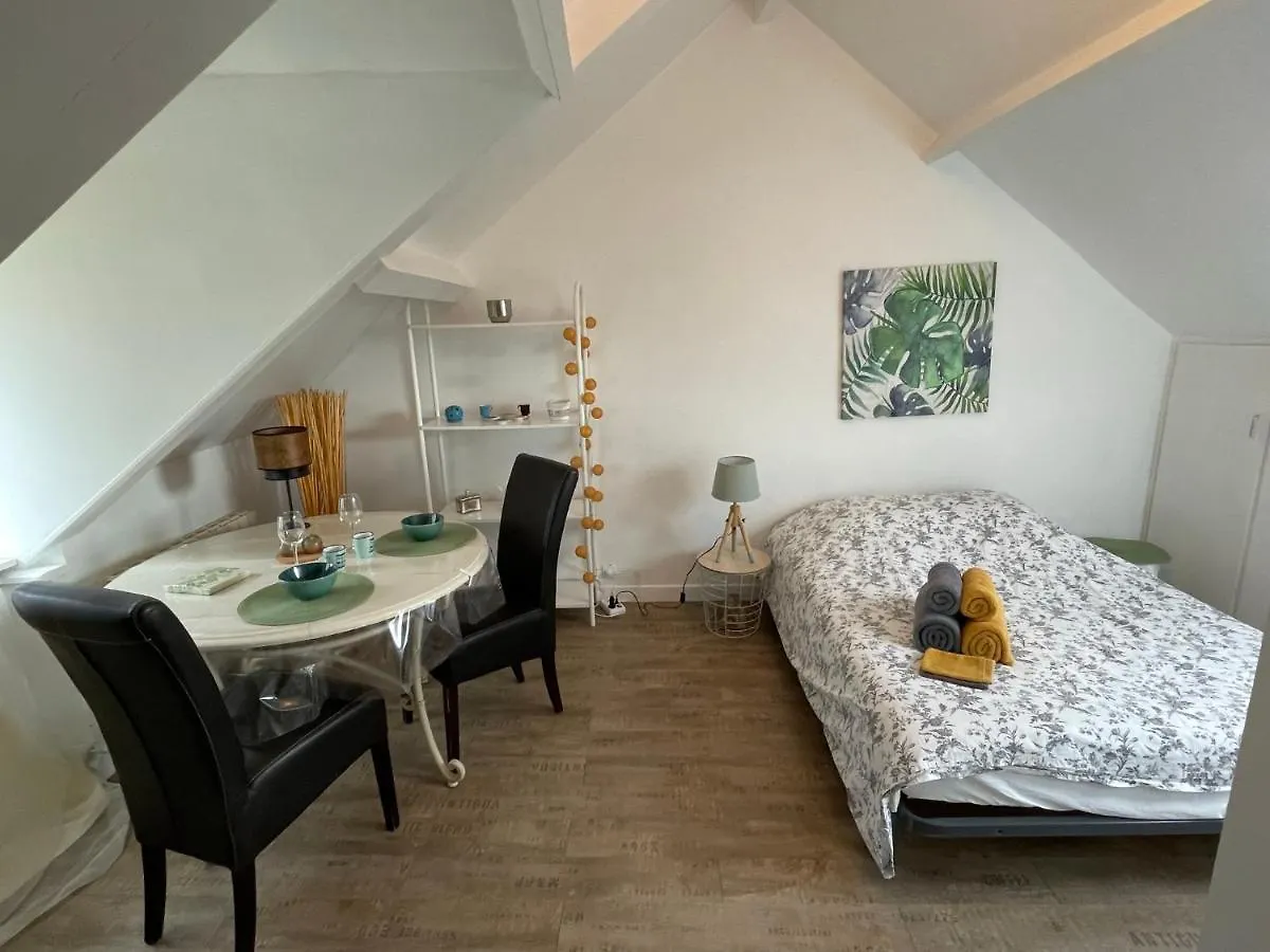 Le Cocon Jaune - Studio En Hyper Centre location
